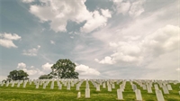 established cemetery illinois - 1