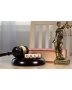 established bail bonds business - 1