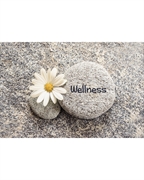 weight loss wellness center - 1