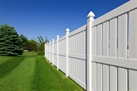 25 year established fence - 1