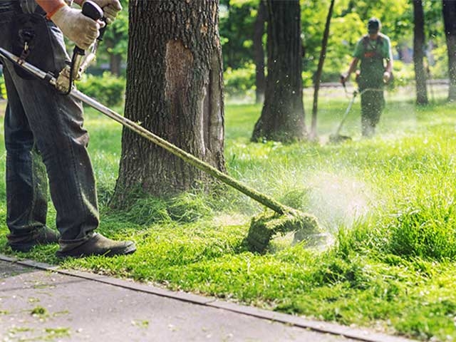 A Touch Of Green Landscaping