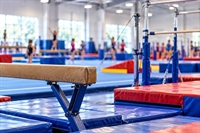 established gymnastics business 201k - 1