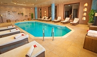 established pool spa business - 1