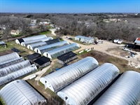 usda organic-certified wholesale nursery - 3