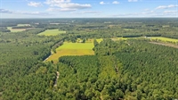 plot of land south - 2