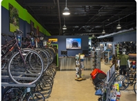 established bicycle retail shop - 1