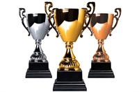 profitable dallas area awards - 1