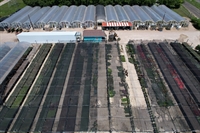 income producing plant nursery - 3