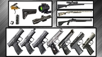 ammo-firearms biz with great - 1