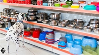established retail business loyal - 1