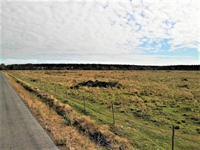 10 acre agricultural land - 1