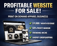 profitable e-commerce dropshipping business - 1