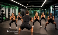 established fitness studio - 1
