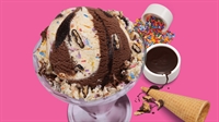 baskin robbins franchise for - 1