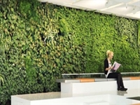 plant botanical design company - 1