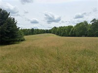 scenic 52-acre open wooded - 2