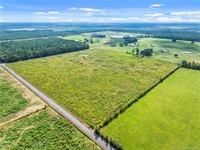 40 acre pasture land - 3