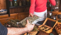 one-stop shop for wellness - 1