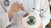 established ophthalmology practice palm - 1