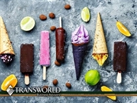 established specialty frozen dessert - 1