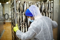 seafood processing distribution company - 1