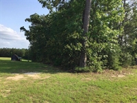 3 acre commercial land - 1