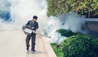 long island pest control - 1