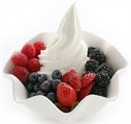 yogurt smoothie franchise rockland - 3