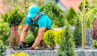 highly profitable full-service landscaping - 1