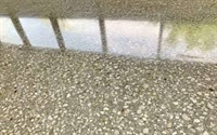 concrete polishing company for - 1