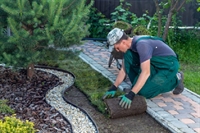 landscape design installation northern - 1
