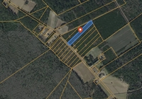 plot of land nichols - 1