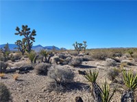 plot of land available - 2