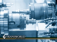 thriving industrial manufacturing business - 1