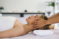 established massage therapy franchise - 1