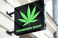 prime location cannabis dispensary - 1