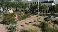 commercial landscaping maintenance business - 1