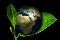profitable environmental services consulting - 1
