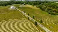 profitable absentee owned winery - 2