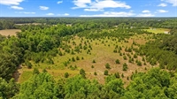 plot of land loris - 1