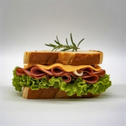 turnkey sandwich franchise growth - 1