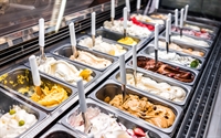well-established frozen yogurt shops - 1