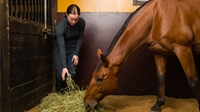 south florida equestrian feed - 1