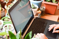 online plant nursery delivery - 1