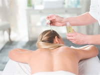 established elements massage franchise - 1