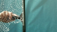 well-established window cleaning with - 1