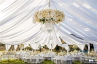 established event rental company - 1