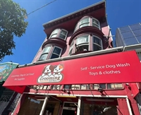 dog grooming business san - 1