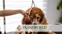 established dog grooming business - 1