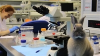 in-network full-service clinical laboratory - 1